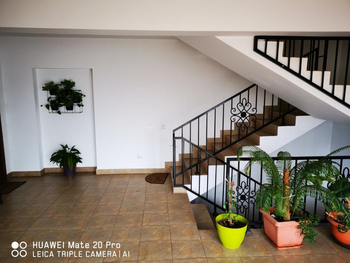 Cluj City Marasti Apartament 2 Zewnętrze zdjęcie